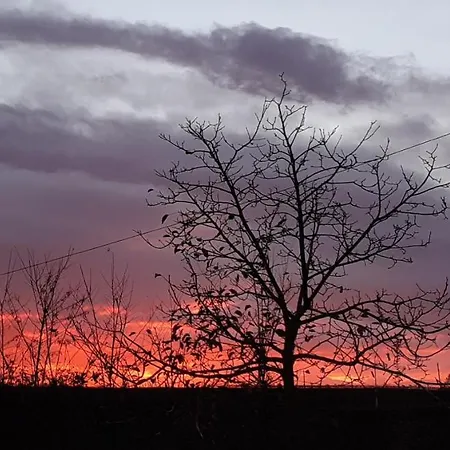 Semesterbostad Nonna Miry